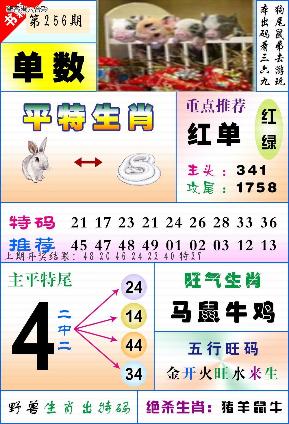 精选图库 1127