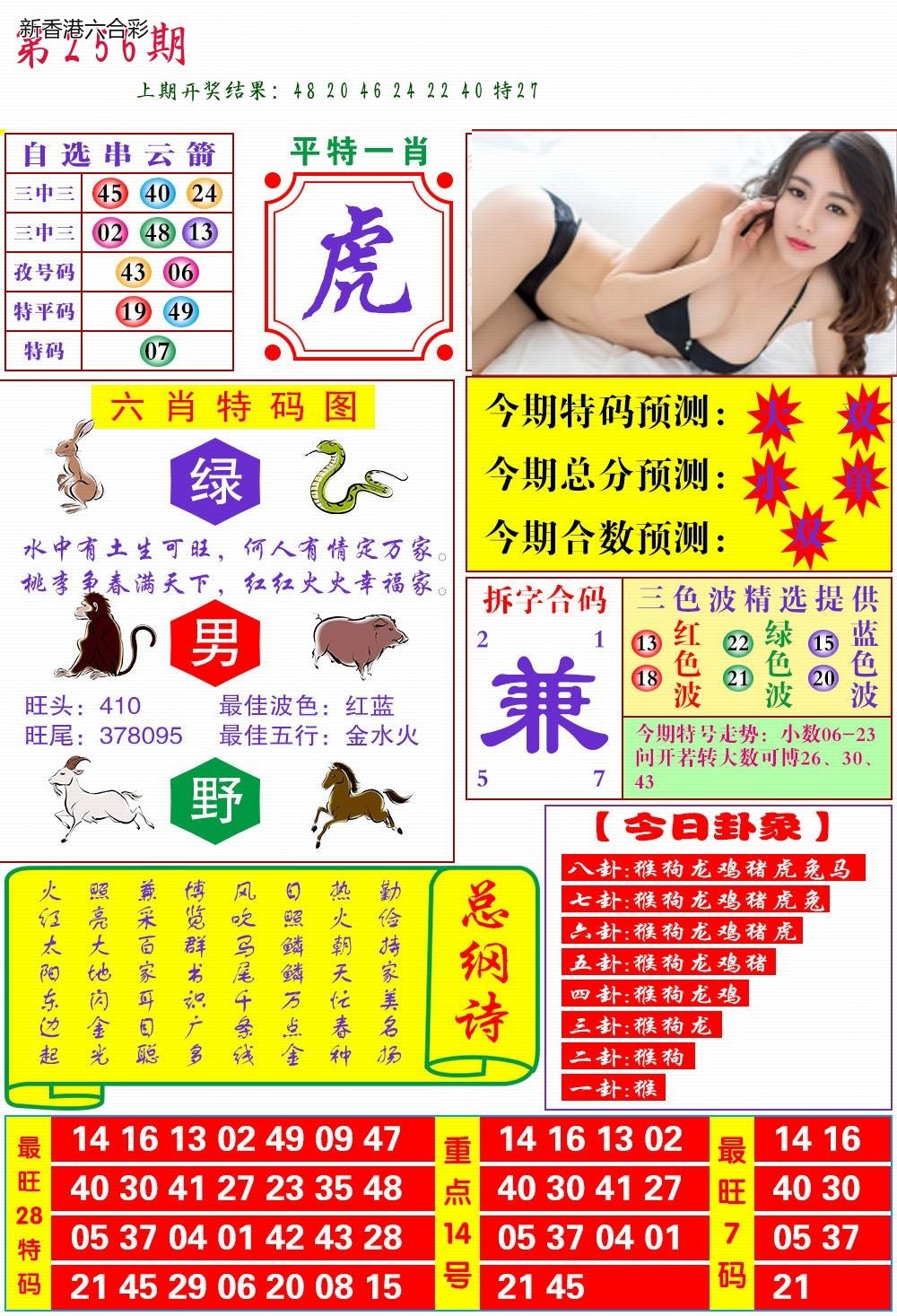 精选图库 1264