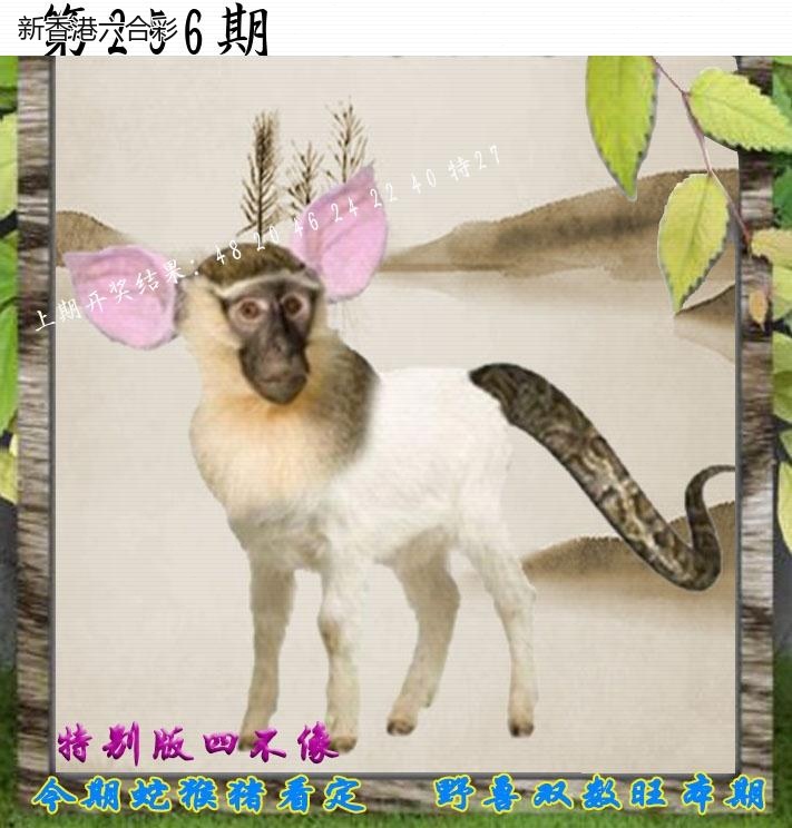 精选图库 1318
