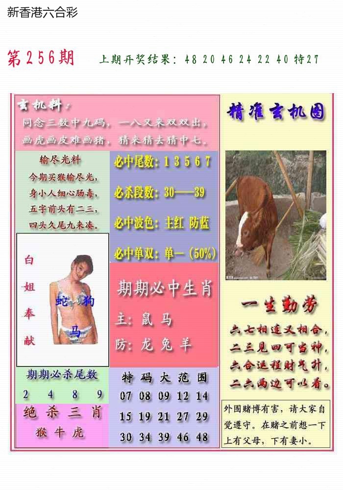 精选图库 1349