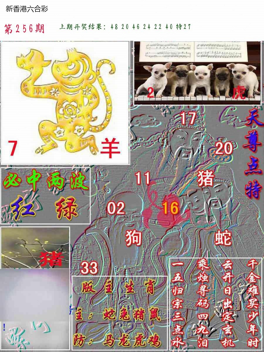 精选图库 1351