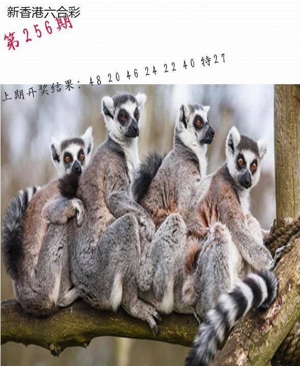 精选图库 1368