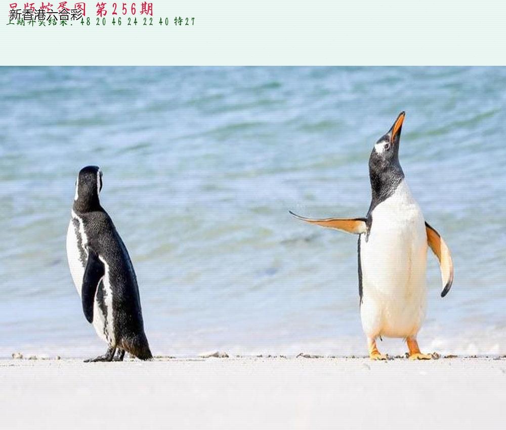精选图库 1377