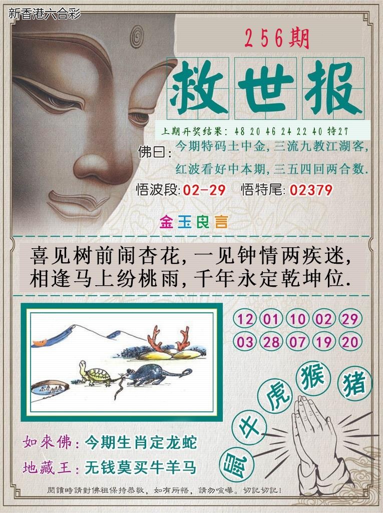 精选图库 1011