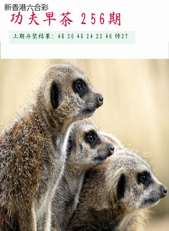 精选图库 1013